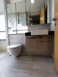 Cityscape @ Farrer Park (D8), Condominium #595721811